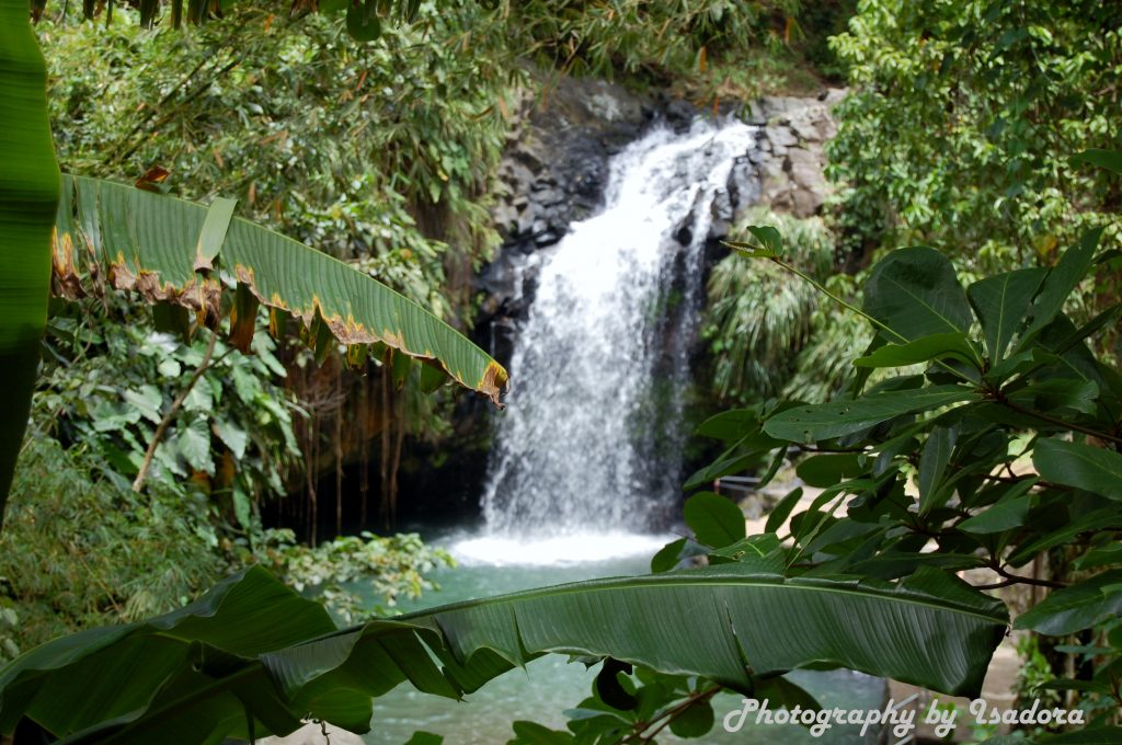 Grenada Waterfall - #2 - 1 (2) copy