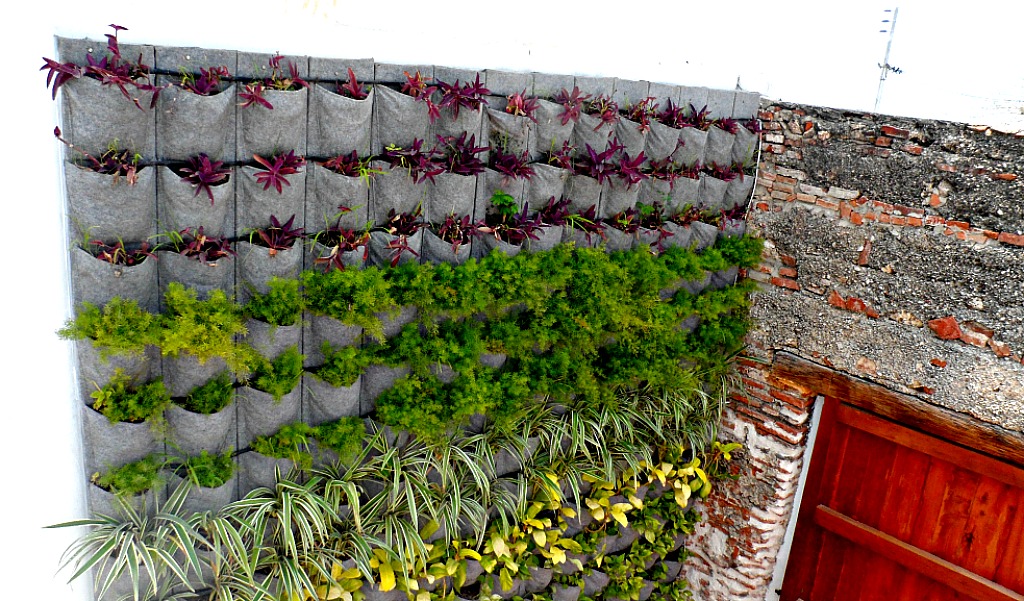 Structure Wall Garden Colombia.web